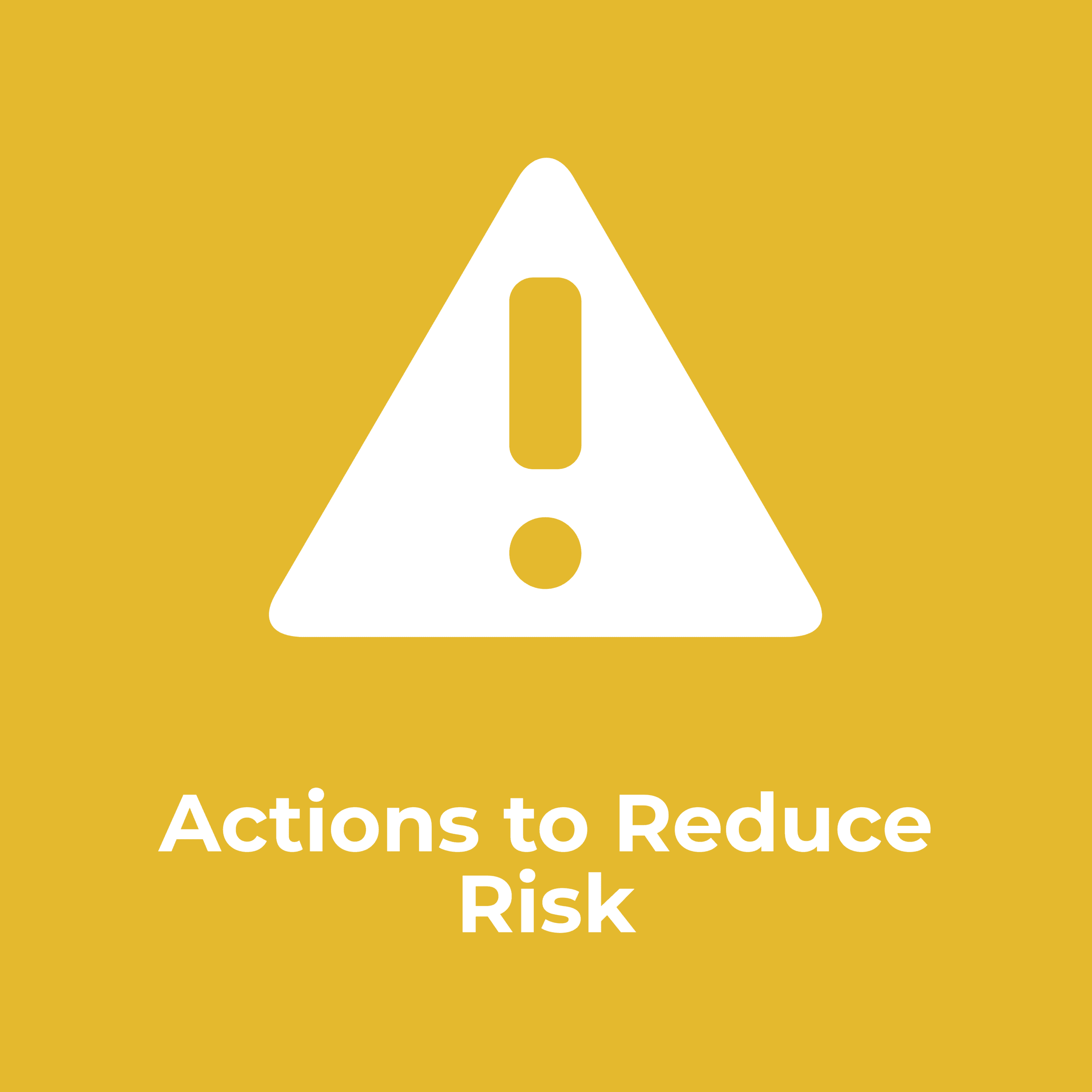 Actions to Reduce Risk Opens in new window